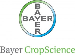 Bayer
