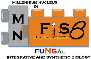 MNFS8
