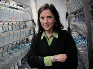 Kathleen Whitlock, PhD