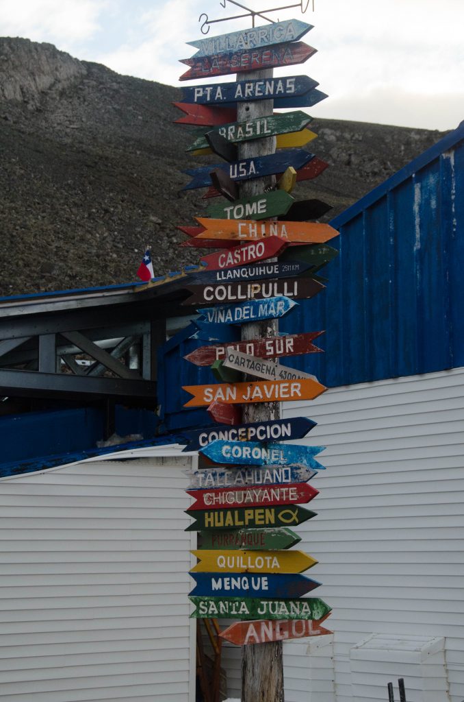 Una Expedición a Antártica 7 DSC3604