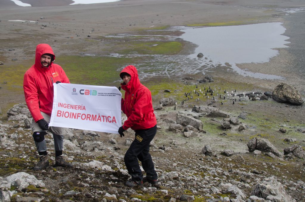 Una Expedición a Antártica 14 DSC3931