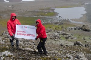 Una Expedición a Antártica 5 DSC3931