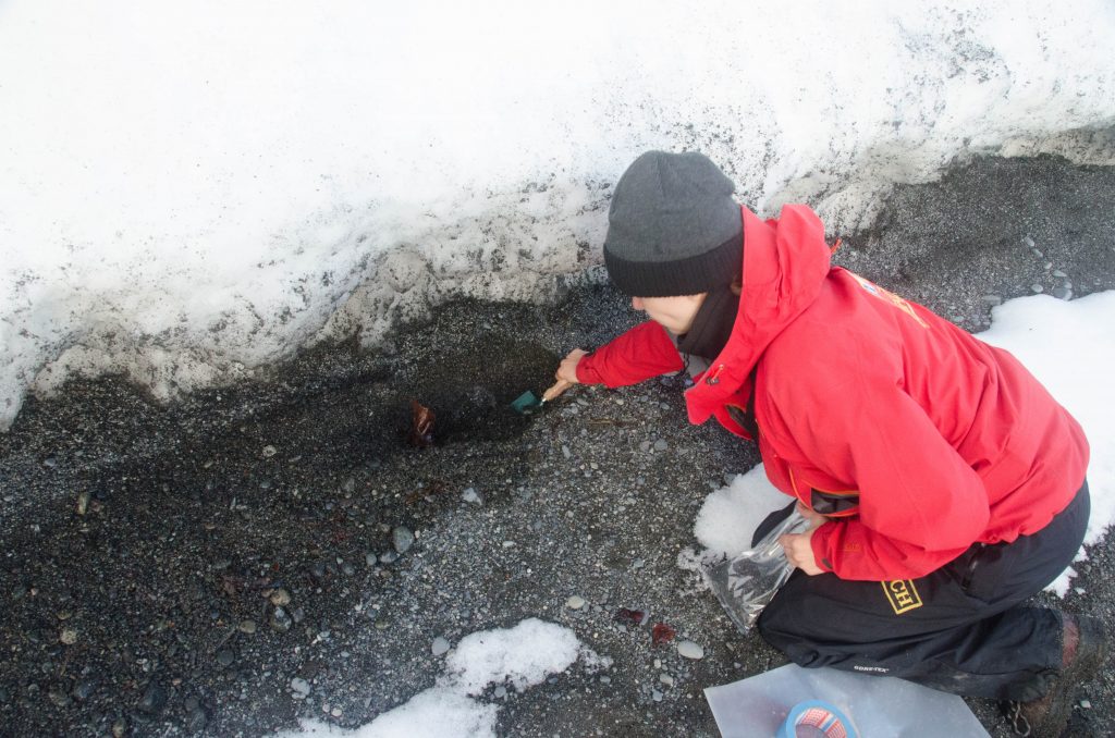 Una Expedición a Antártica 15 DSC4159