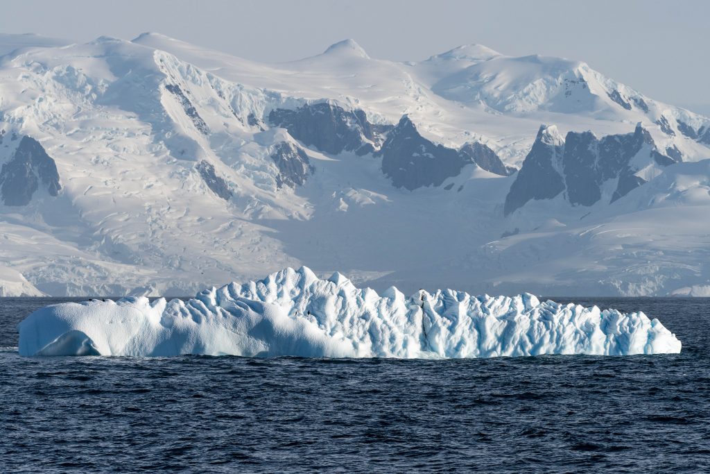 Una Expedición a Antártica 17 DSC 3467