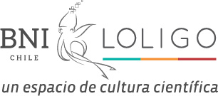 LOLIGO-02 LOLIGO-02