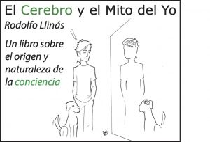 elmitodelyo elmitodelyo