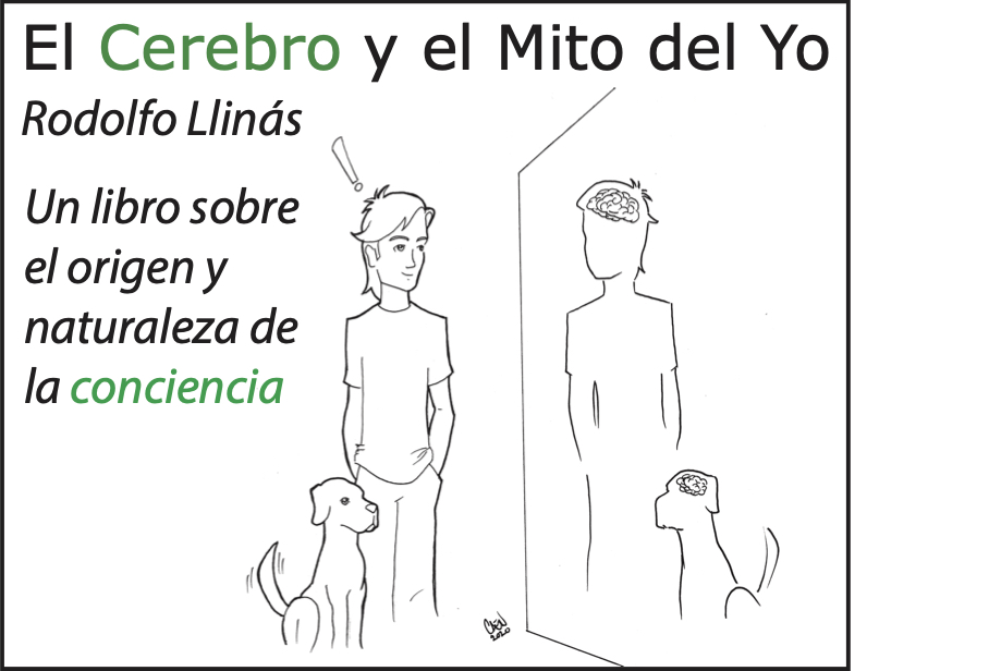 El Cerebro y el Mito del Yo (I of the vortex: From Neurons to Brain) 2 elmitodelyo