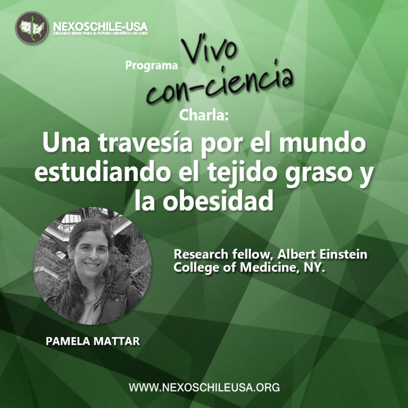 pamela_nexos